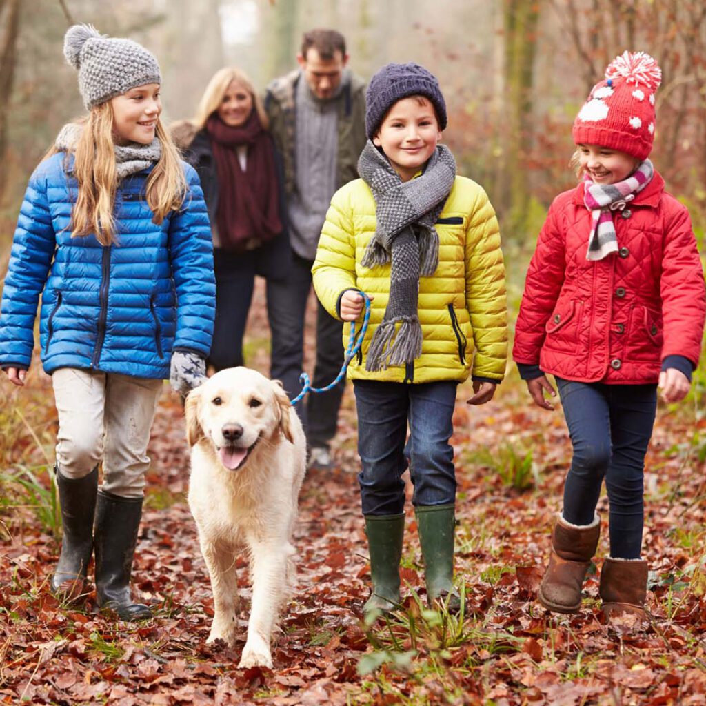 A family and their dog walking through an autumnal forest, a scene of togetherness in a UK adoptive family