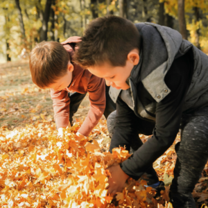 Brothers playing in the leaves | Jigsaw Adoption Agency