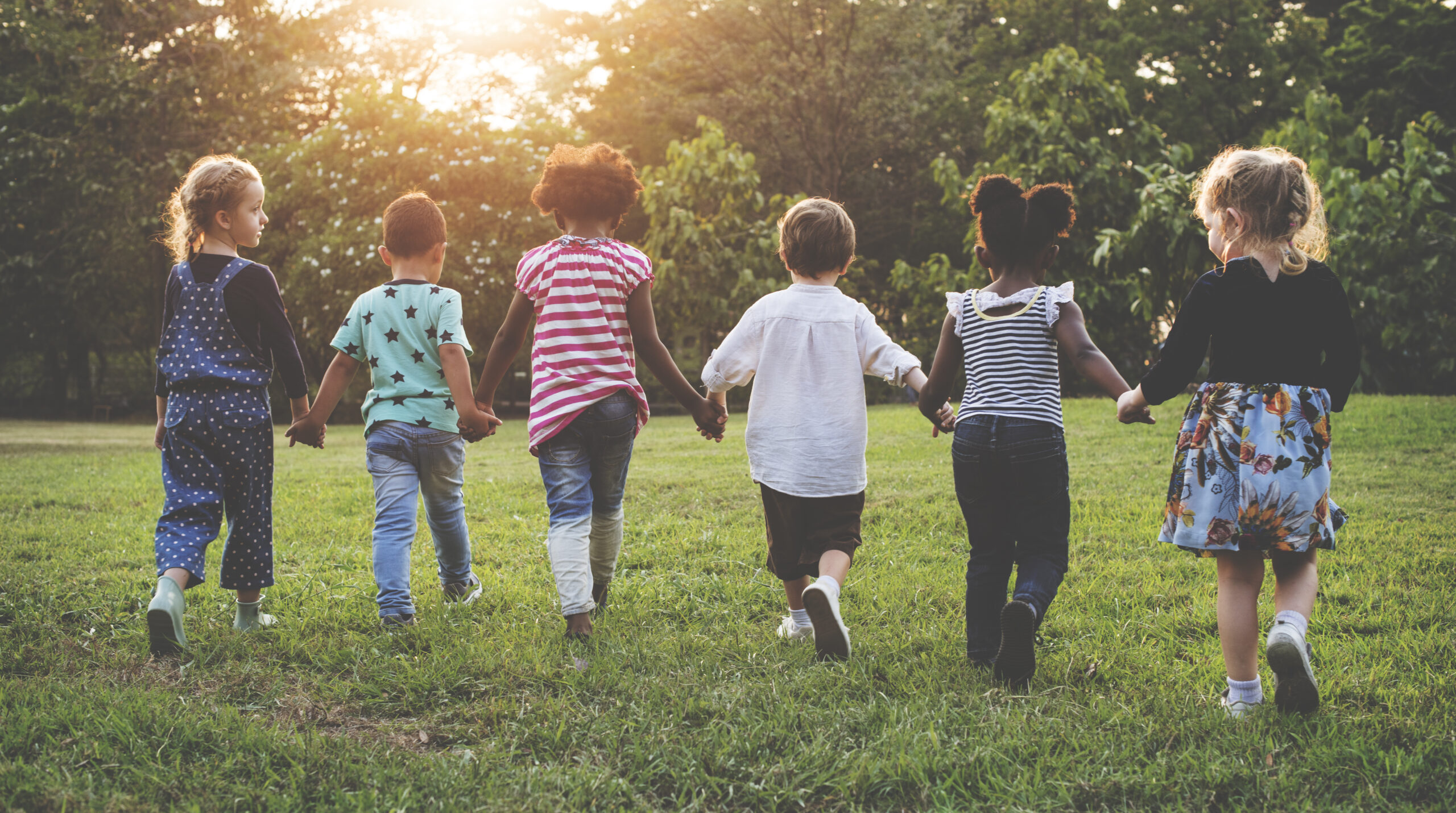 Group of six young children holding hands and walking together through a grassy park, seen from behind. The sun is setting in the background, casting a warm glow over the scene.