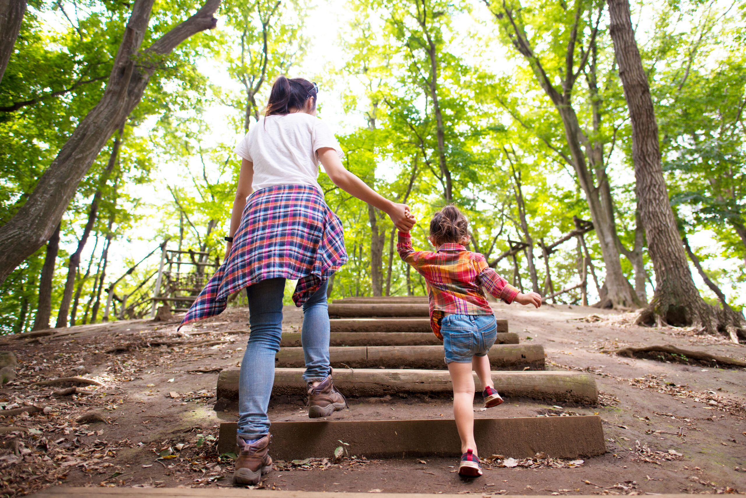 Adult and child walking hand-in-hand up wooden steps in a forest. The child is wearing a checked shirt and denim shorts, and the adult has a checked shirt tied around their waist. Sunlight filters through the trees as they enjoy a nature walk.