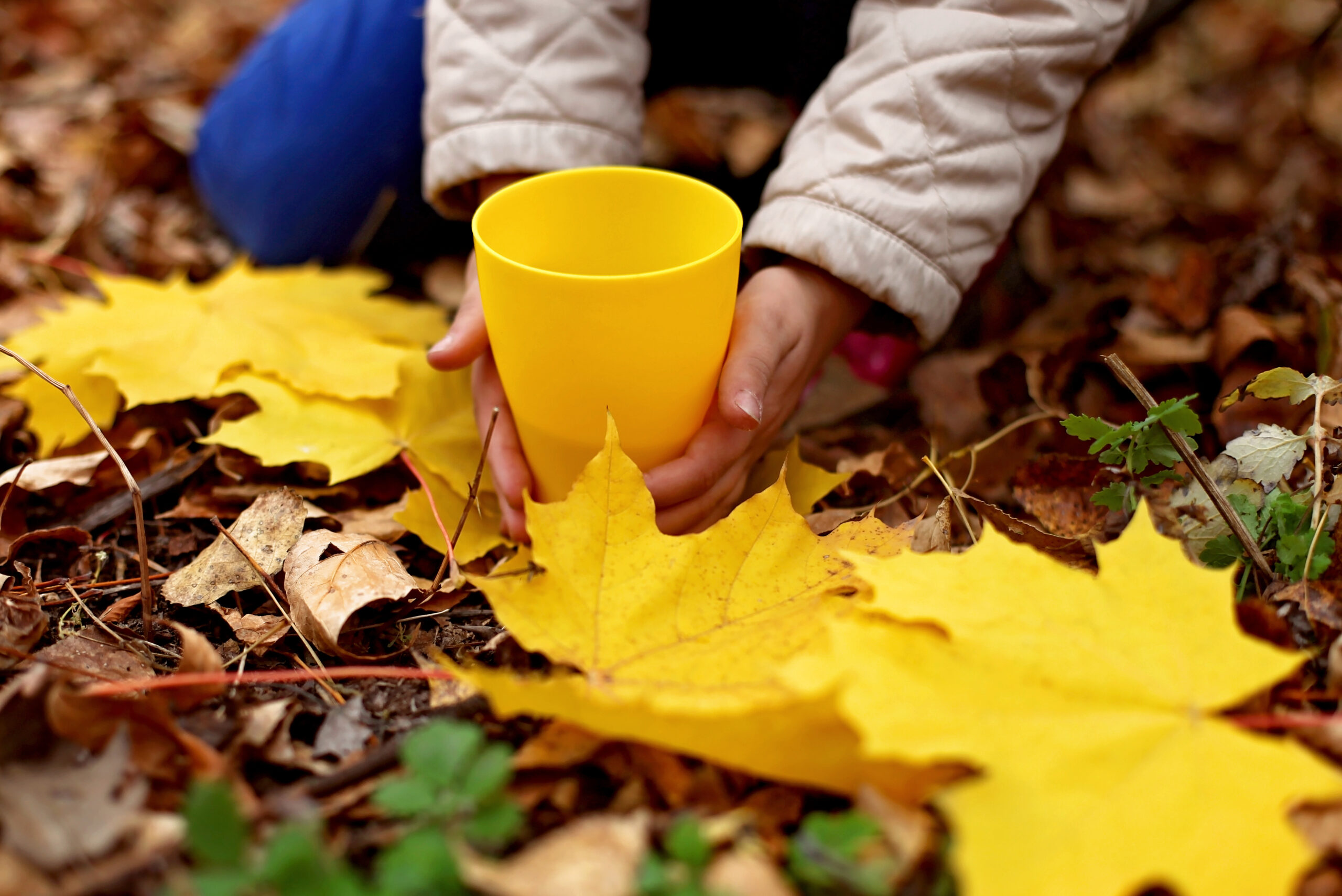 Child's hands holding yellow cup outdoors among autumn leaves, representing family moments and childhood in adoptive families